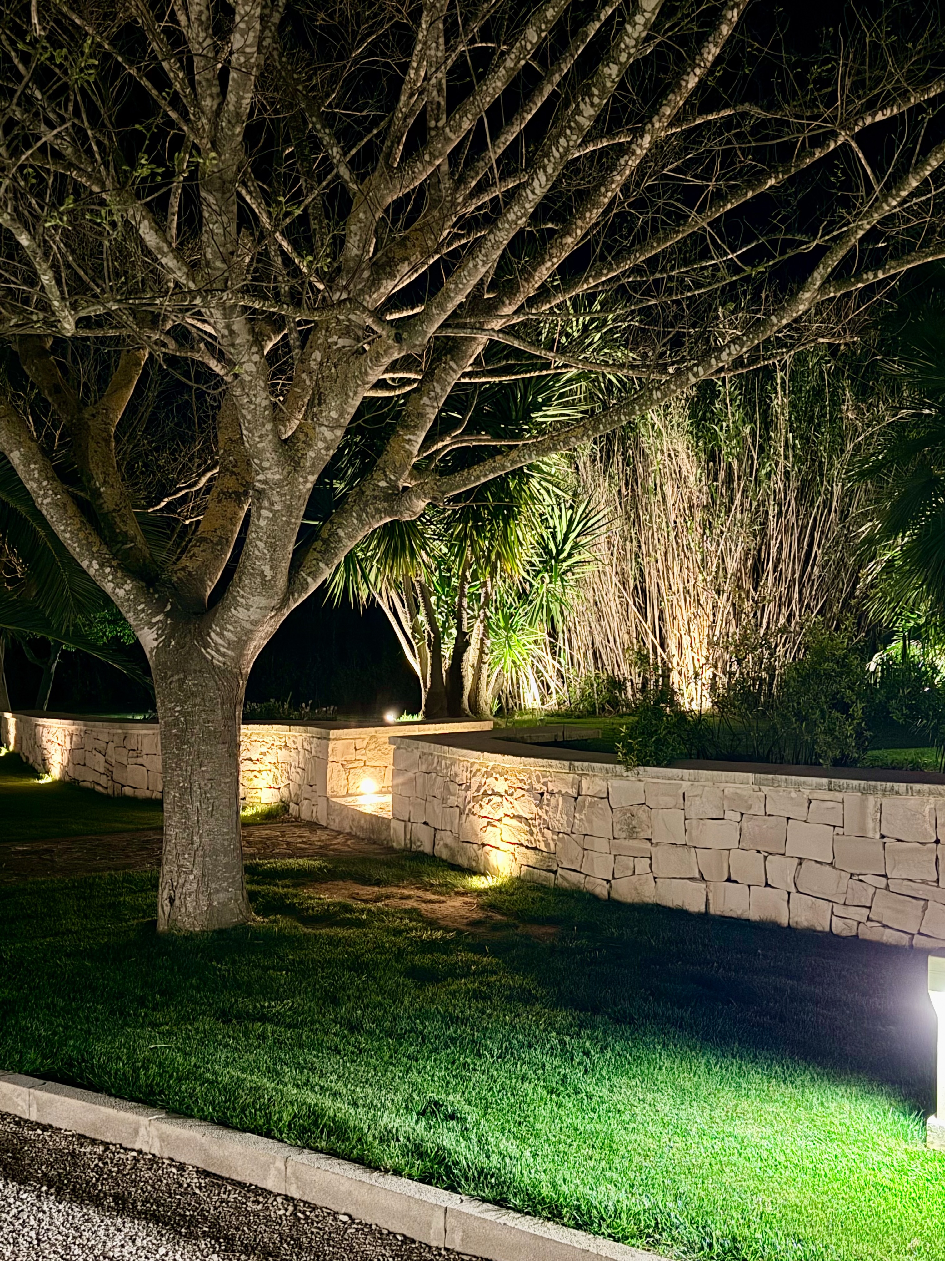 Il giardino illuminato la sera